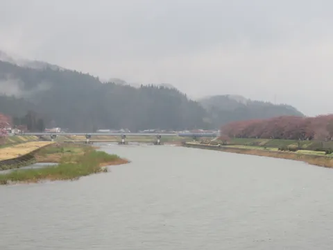 Kakunodate — phố samurai & anh đào Akita, Tohoku