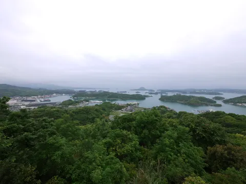 Amakusa — đặt tour tàu xem cá heo hoang dã ở Kumamoto