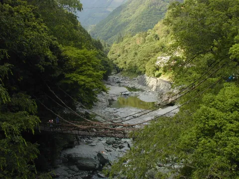 Asahikawa — vườn thú Asahiyama, chim cánh cụt
