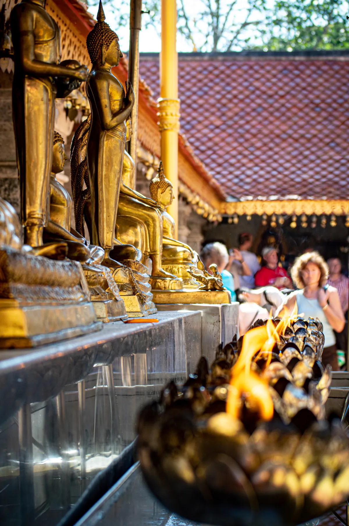 Hướng dẫn Doi Inthanon: Chinh phục đỉnh cao nhất Thái Lan