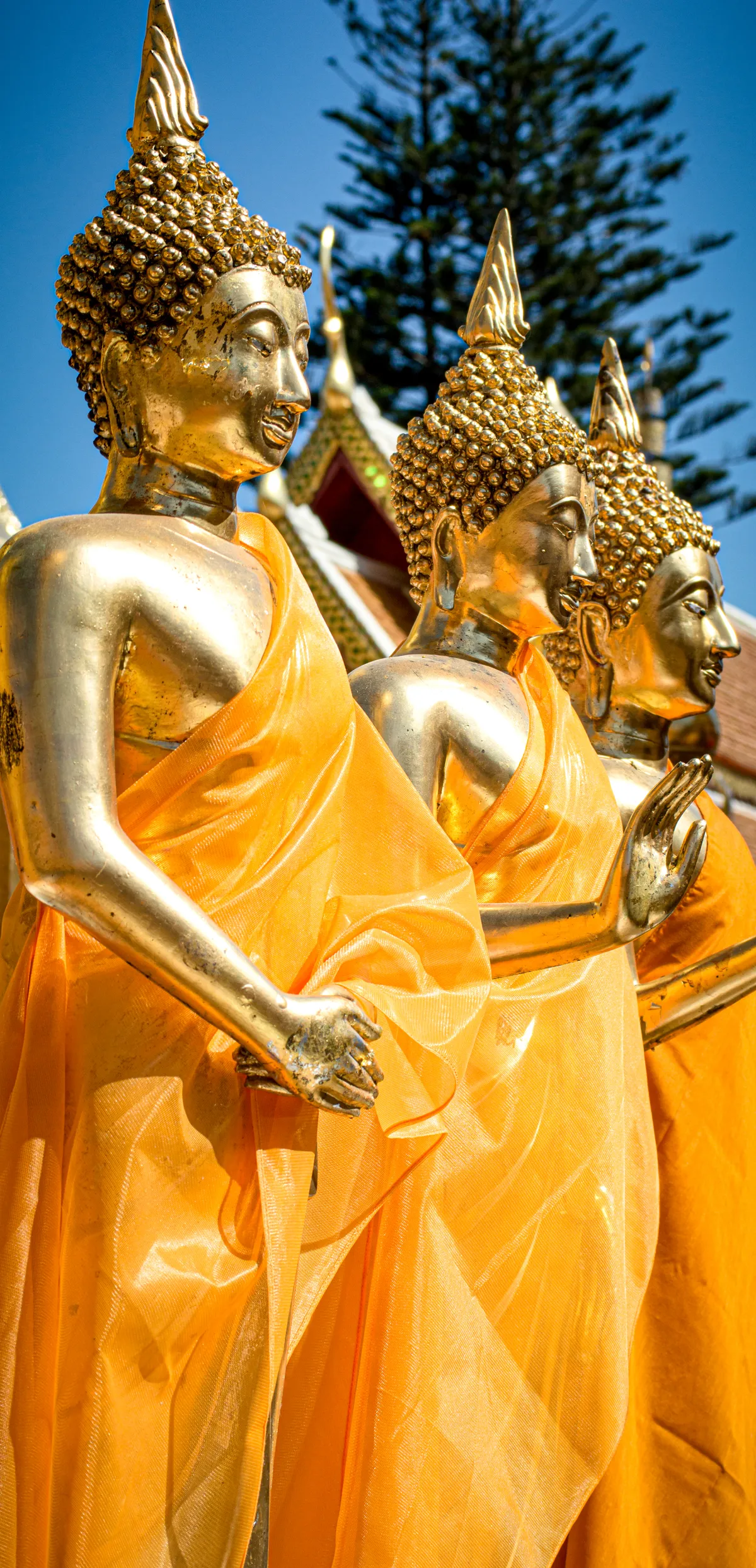 Chiang Mai Mewah 2026 — Hotel Bintang 5, Fine Dining, Spa