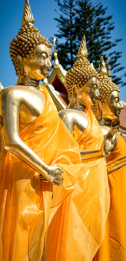 Chiang Mai Mewah 2026 — Hotel Bintang 5, Fine Dining, Spa