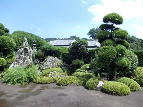 Du lịch Chiran 2026 — phố võ sĩ, vườn đá & đồi trà Kagoshima
