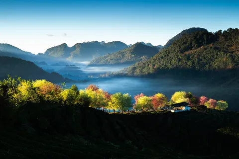 Doi Ang Khang — trạm hoàng gia, vườn hoa ôn đới và sương sớm