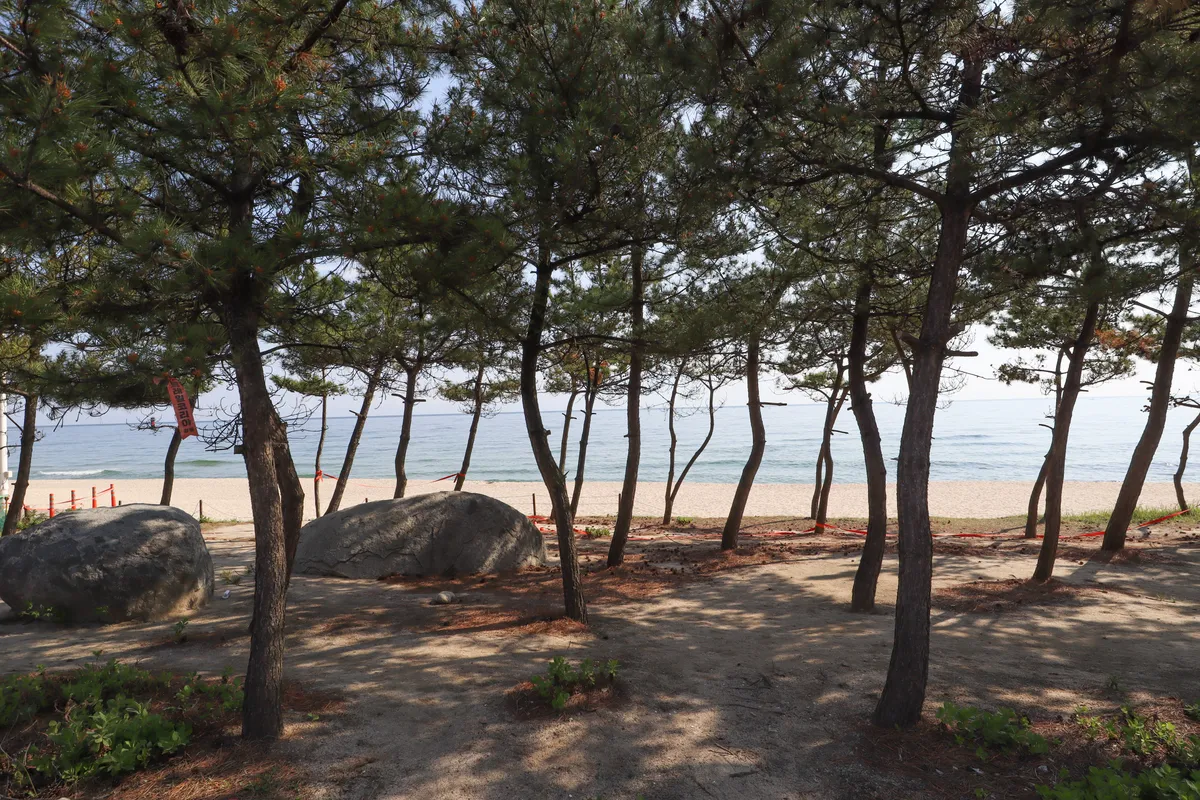 แพลนเที่ยวคังนึง 3 วัน — จุดเที่ยว ที่พัก อาหาร ครบ (2026)