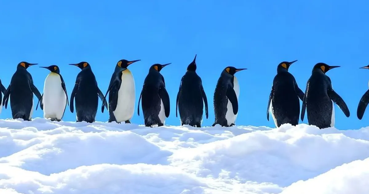 เที่ยวฮอกไกโด Ultimate Guide 2026 — คู่มือครบจบทุกเมือง