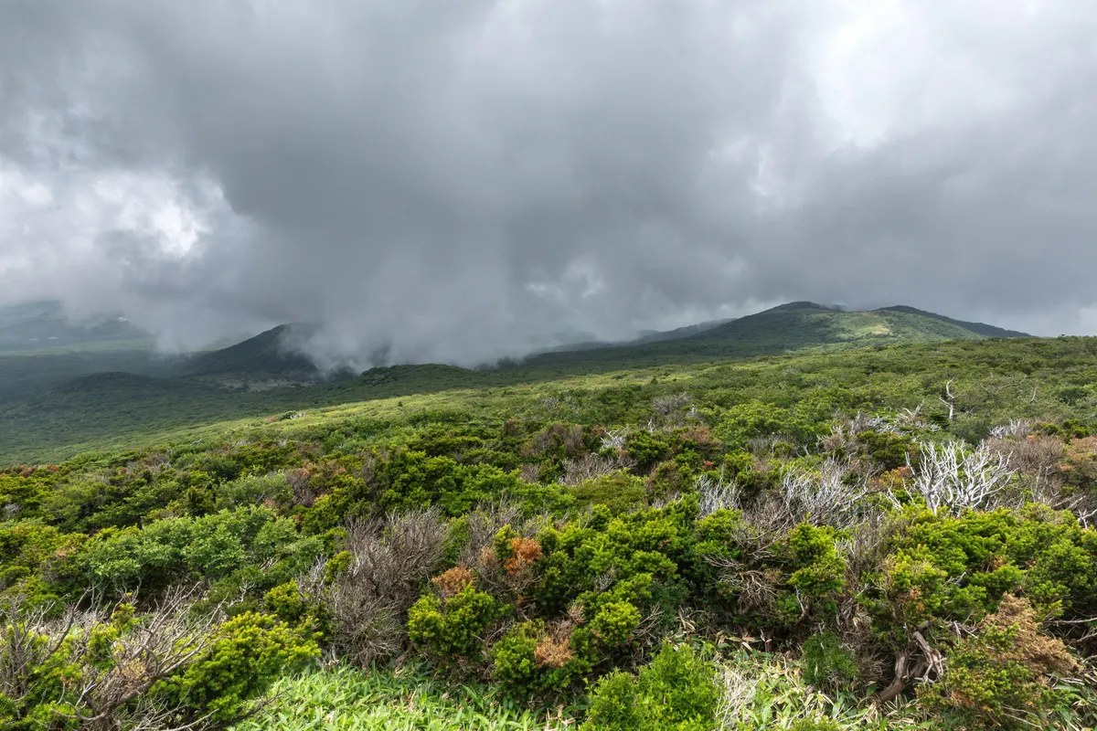 เที่ยวเชจู 4 วัน 3 คืน 2026 — ภูเขาไฟ ทะเลสีเทอร์ควอยซ์