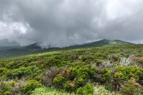 เที่ยวเชจู 4 วัน 3 คืน 2026 — ภูเขาไฟ ทะเลสีเทอร์ควอยซ์