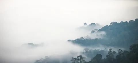 Kaeng Krachan 2026 — biển mây Phanoen Thung, thác Pa La-U