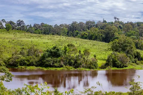 Khao Yai — đồi nho làm rượu vang, trang trại cừu Primo