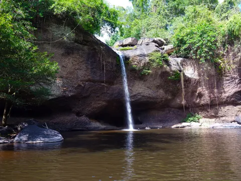 Khao Yai — safari thú hoang, đồng cừu Pak Chong & cafe đồi