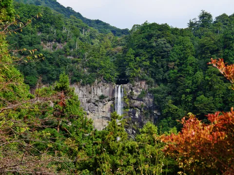 Kumano Kodo — đường mòn cổ xuyên rừng tới đền Nachi Taisha