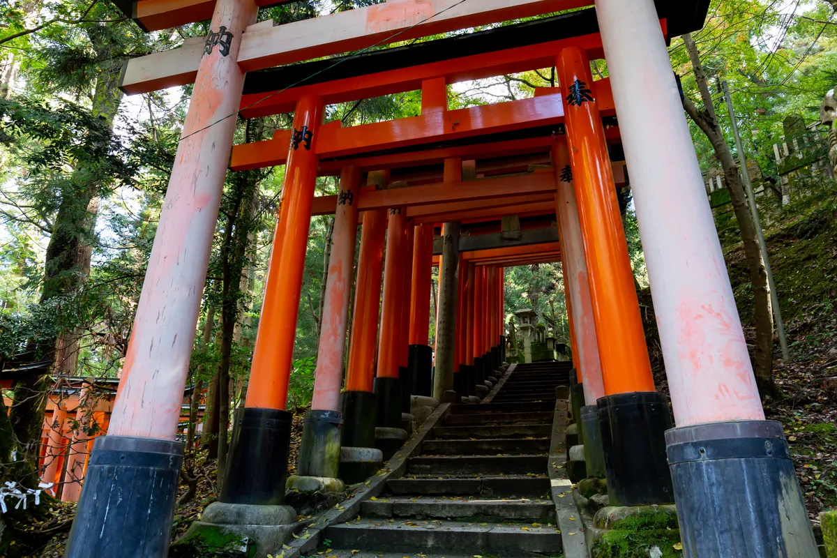 แพลนเที่ยวเกียวโต 2 วัน 1 คืน — วัด ศาลเจ้า Must-See 2026