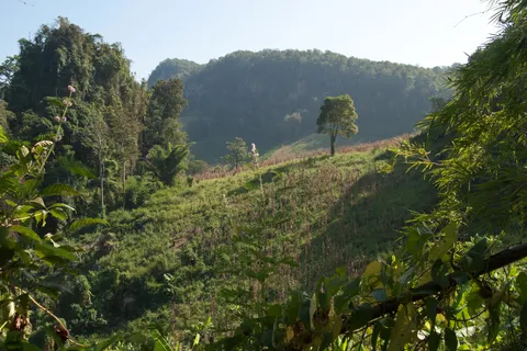 Vòng cung Mae Hong Son 4 ngày 3 đêm: Pai & Pang Ung