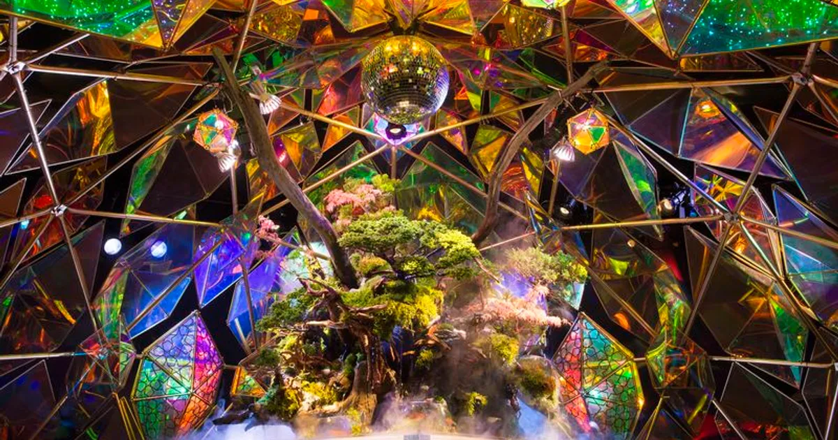 Du lịch Nara 1 ngày — Ngắm hươu, chùa Todai-ji, Kasuga trọn