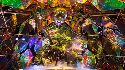 Du lịch Nara 1 ngày — Ngắm hươu, chùa Todai-ji, Kasuga trọn