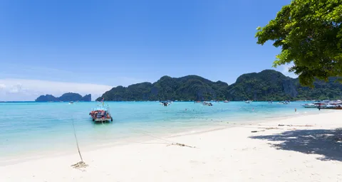 Tour Phi Phi Phuket 2026 — speedboat vs ferry