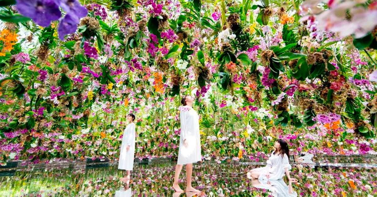 teamLab Borderless vs Planets 2026 — อันไหนคุ้มกว่า