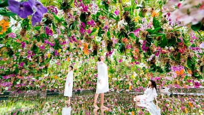 teamLab Borderless vs Planets 2026 — อันไหนคุ้มกว่า