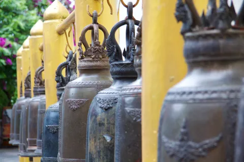 Trại voi Chiang Mai — chọn nơi nhân đạo, giá vé và lưu ý