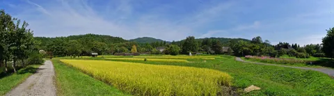 Motonosumi — 123 cổng đỏ ven bờ Nagato ở Yamaguchi