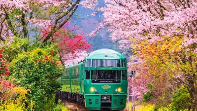 Yufuin 2026 — Thị trấn onsen ven hồ Kinrin, phố Yunotsubo
